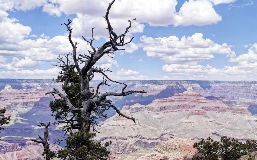 Dear Universe, please take me to see the Grand Canyon.